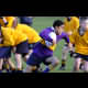 image 17 of 60